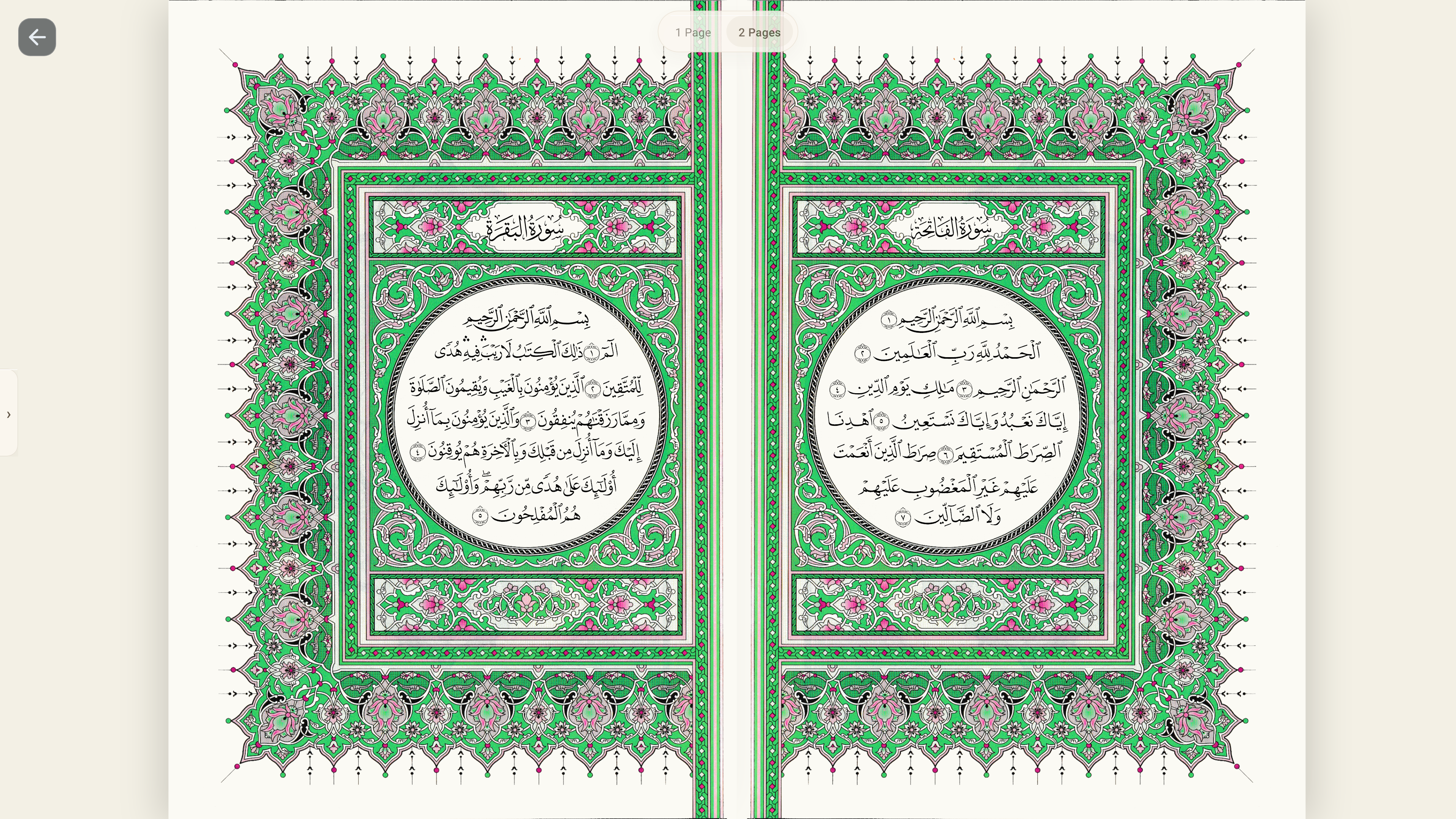 Mushaf inside Quran: reading, meaning and listening. Same app, not a second Dock app.